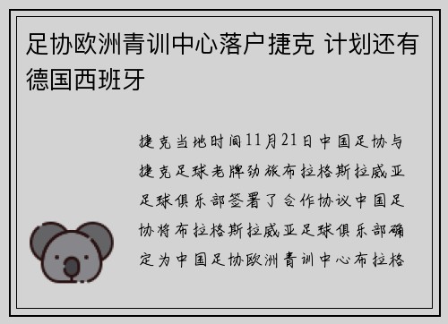 足协欧洲青训中心落户捷克 计划还有德国西班牙